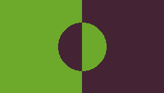 MOTION GRAPHICS 1
