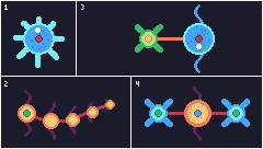 MICRO ORGANISMS - 1