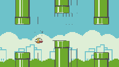 TICCY BIRD