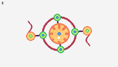 MICRO ORGANISM - 2
