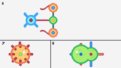 MICRO ORGANISMS - 3