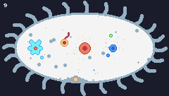 MICRO ORGANISMS - 4