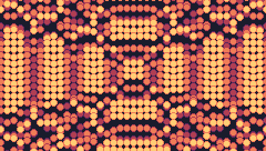HONEYCOMB DANCE