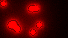 METABALLS