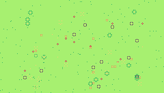 IN BLOOM